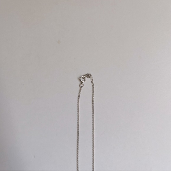 GLDN Blank Vollmund 13mm Disk Necklace Sterling Silver 17-19” - Picture 6 of 6